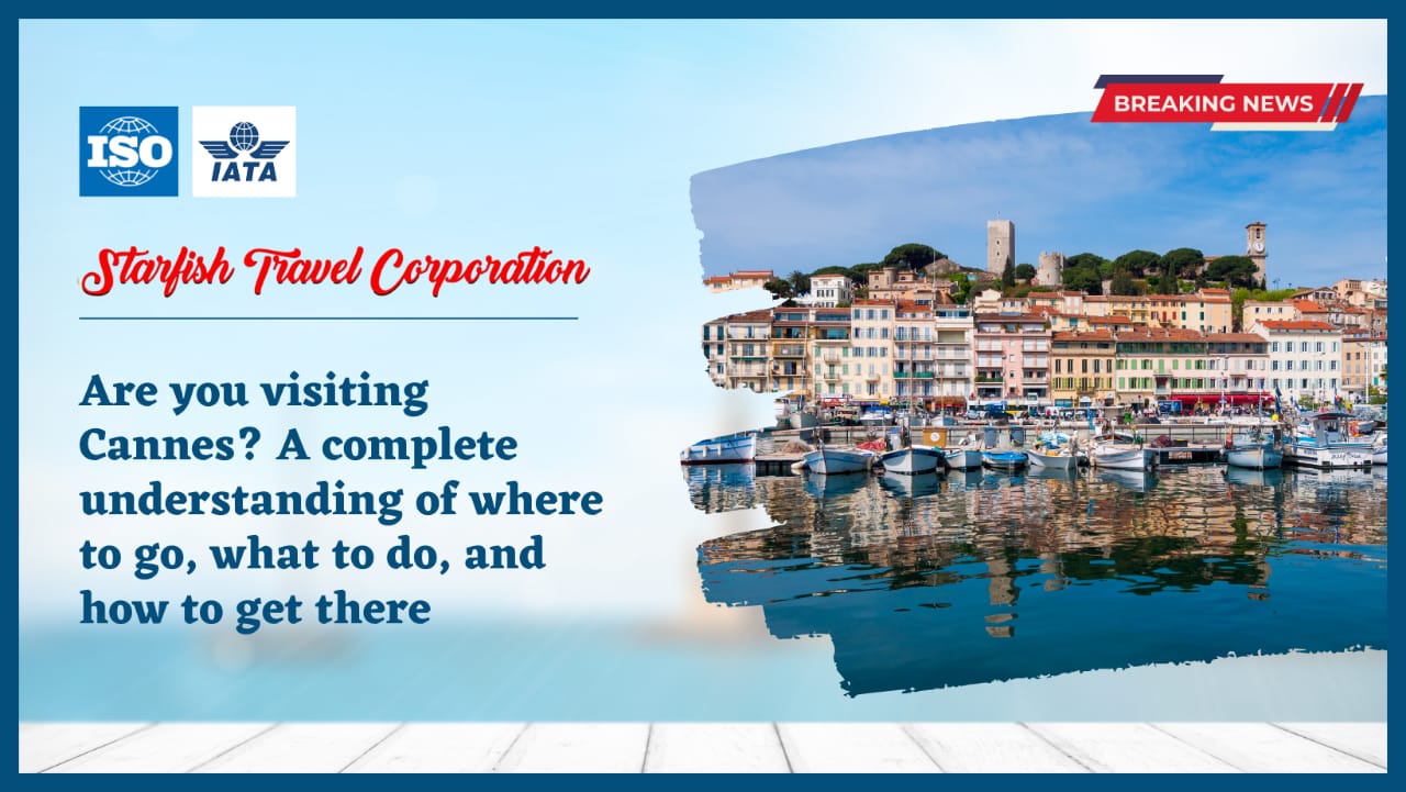Are you visiting Cannes A complete understanding of where to go, what to do, and how to get there