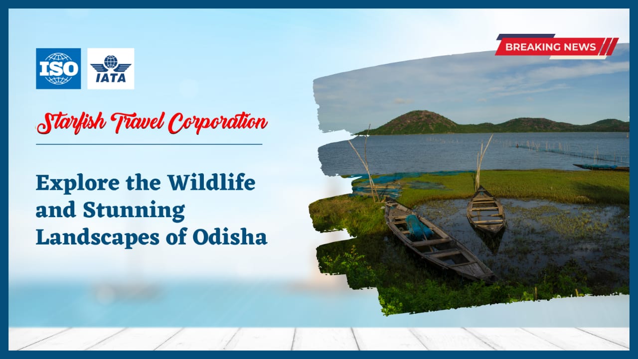 Explore the Wildlife and Stunning Landscapes of Odisha.