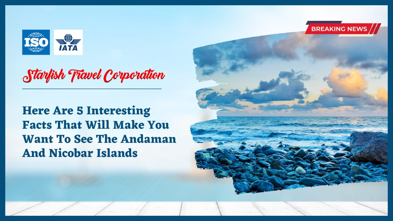 Here Are 5 Interesting Facts That Will Make You Want To See The Andaman And Nicobar Islands