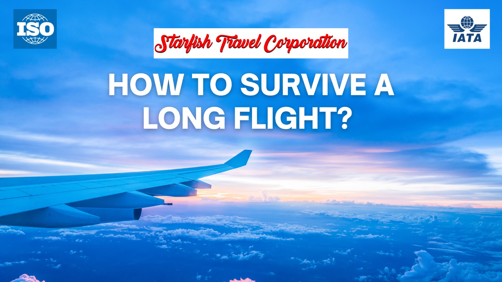 Read more about the article How To Survive A Long Flight?