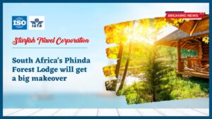 Read more about the article South Africa’s Phinda Forest Lodge will get a big makeover.