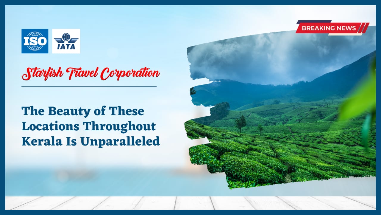 You are currently viewing The Beauty of These Locations Throughout Kerala Is Unparalleled.
