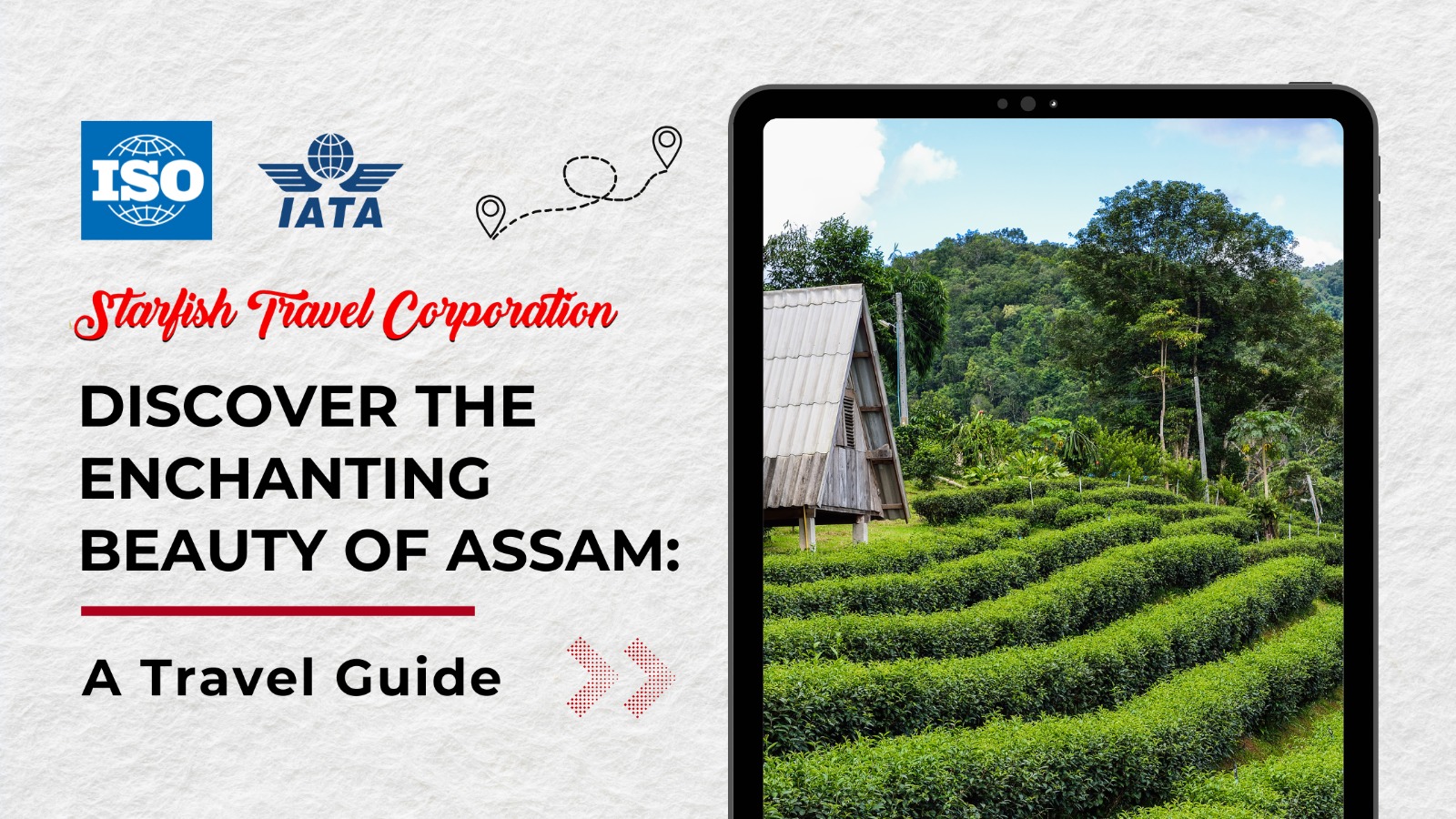Read more about the article Discover the Enchanting Beauty of Assam: A Travel Guide
