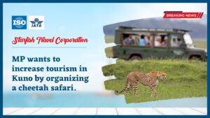 Read more about the article MP wants to increase tourism in Kuno by organizing a cheetah safari.