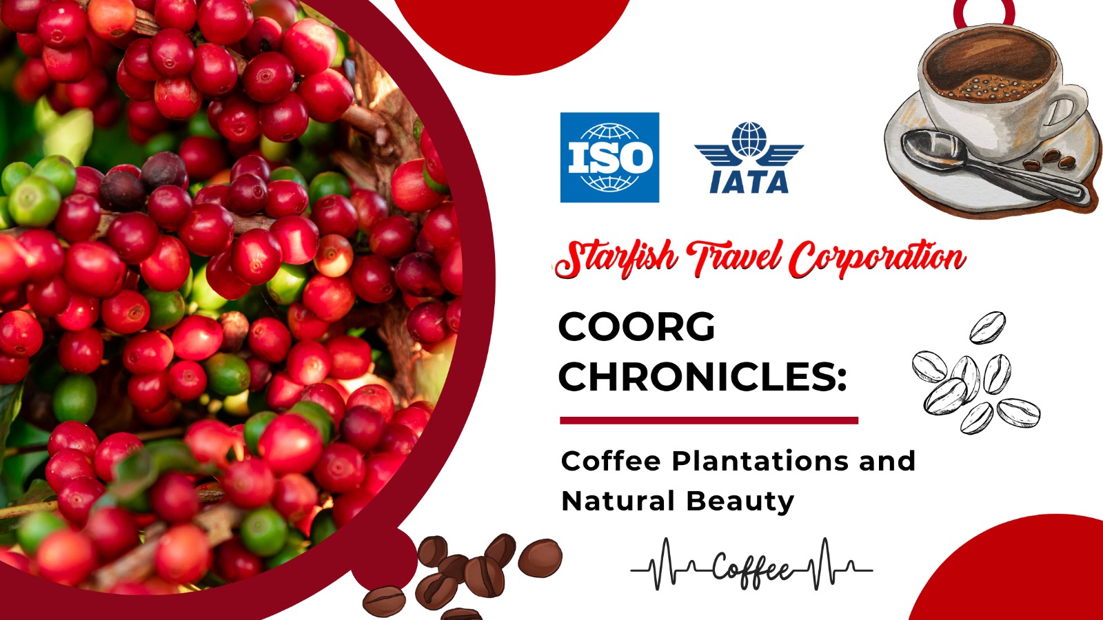 Read more about the article Coorg Chronicles: Coffee Plantations and Natural Beauty