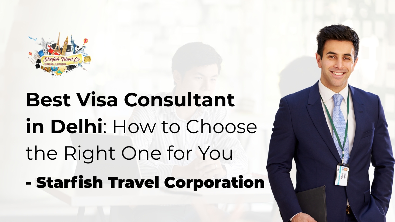 Best Visa Consultant in Delhi: How to Choose the Right One for You