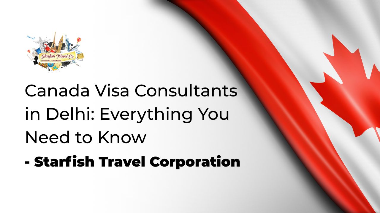 Canada Visa Consultants in Delhi Everything You Need to Know