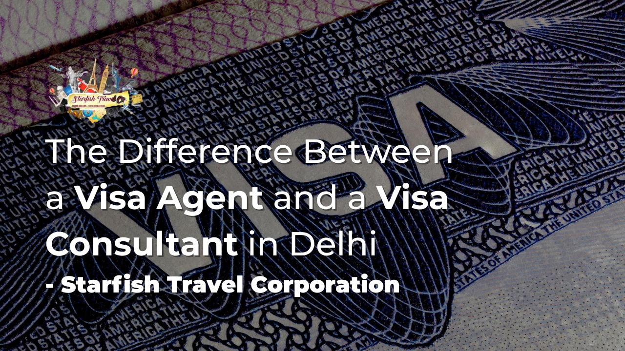 The Difference Between a Visa Agent and a Visa Consultant in Delhi