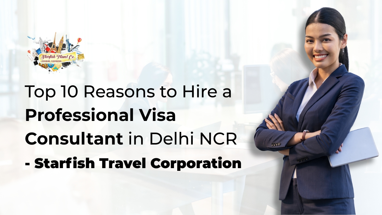 Top 10 Reasons to Hire a Professional Visa Consultant in Delhi NCR
