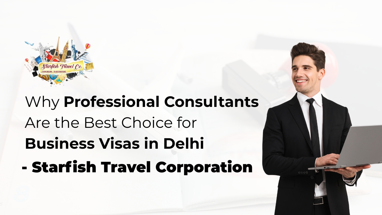 Why Professional Consultants Are the Best Choice for Business Visas in Delhi
